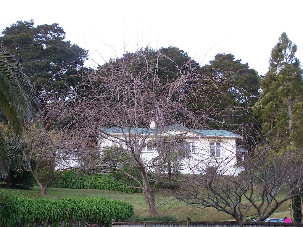 Kauri Nest Bed & Breakfast Whangarei Eksteriør bilde