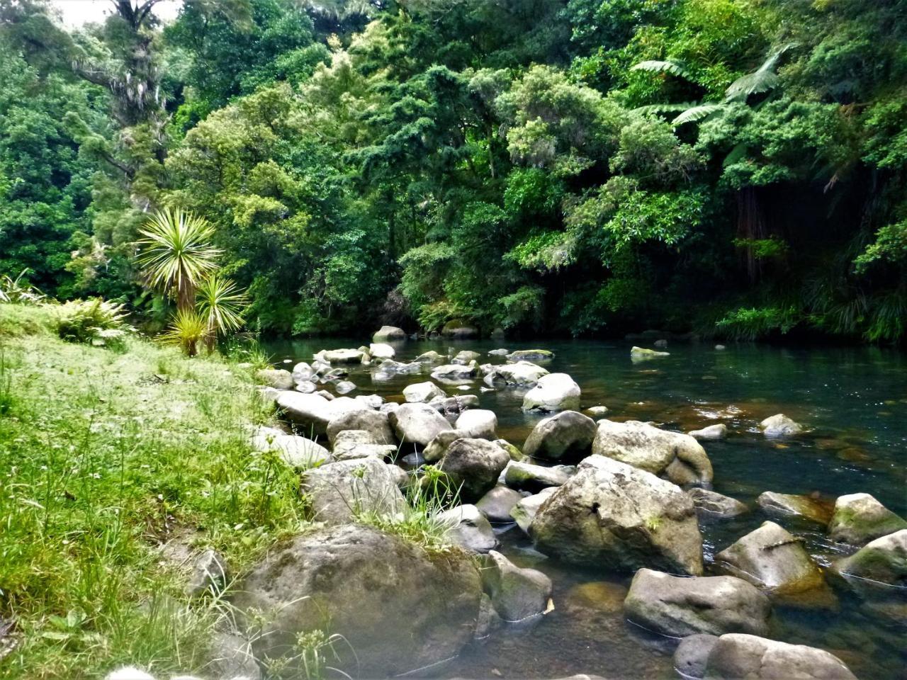 Kauri Nest Bed & Breakfast Whangarei Eksteriør bilde