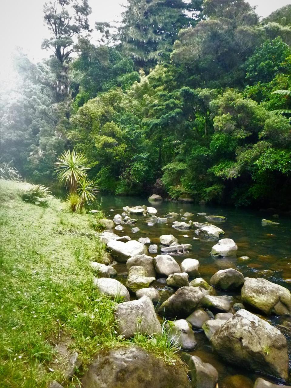 Kauri Nest Bed & Breakfast Whangarei Eksteriør bilde