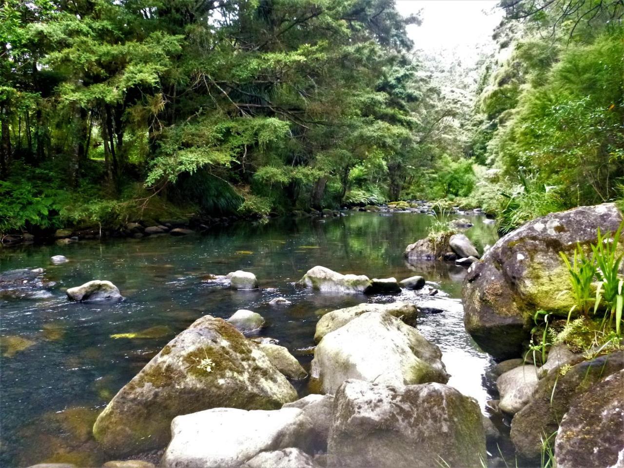 Kauri Nest Bed & Breakfast Whangarei Eksteriør bilde