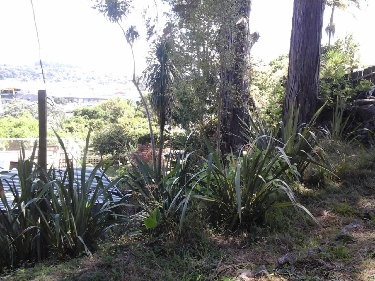 Kauri Nest Bed & Breakfast Whangarei Eksteriør bilde